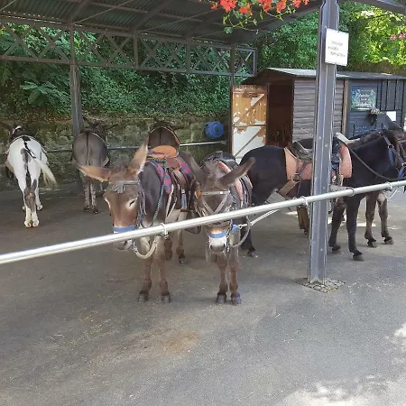 Mueller Rum i privatbostad Unkel