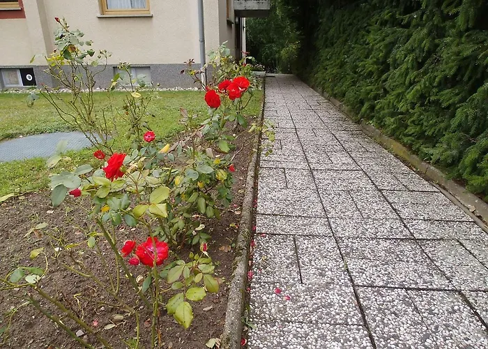 Mueller בית אירוח