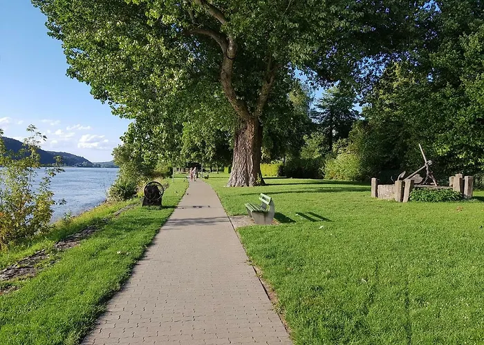 Mueller * אונקל