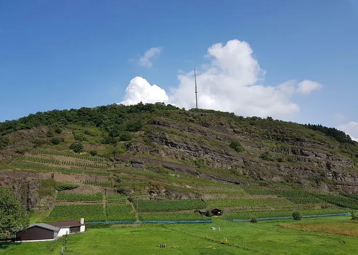 Mueller * אונקל