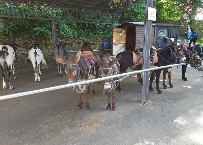 Mueller בית אירוח אונקל